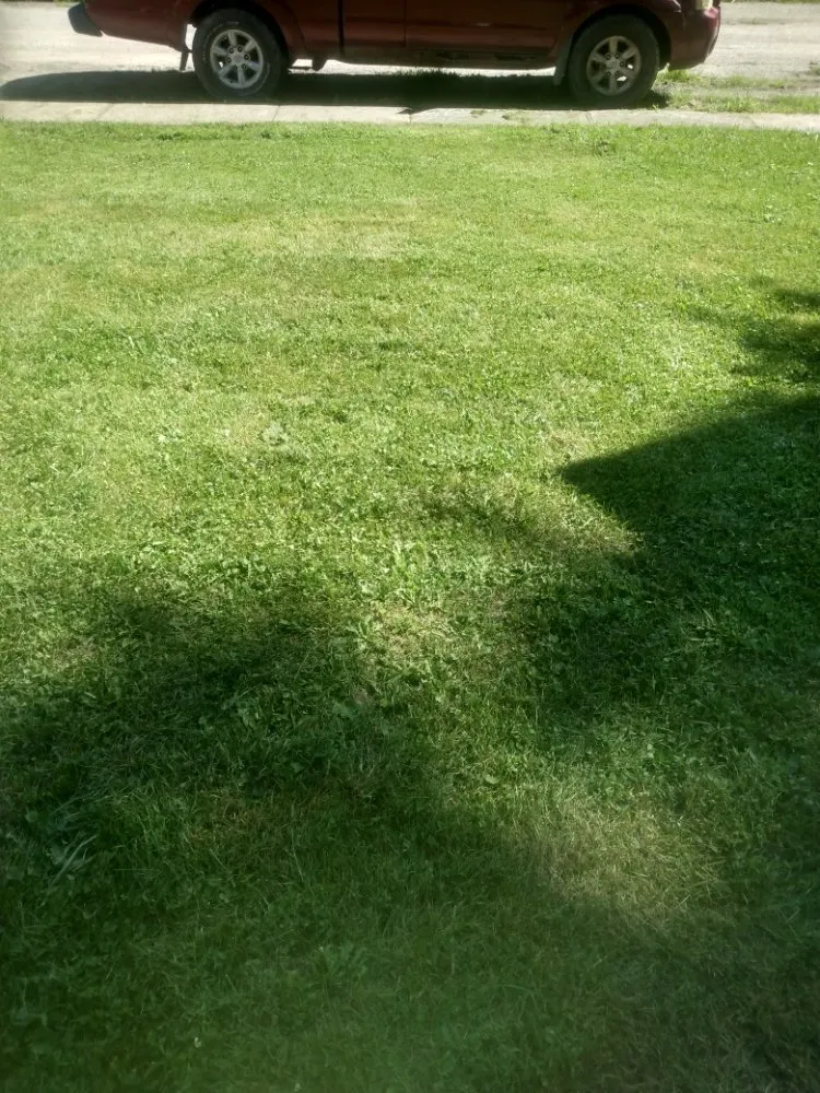 Expert landscaping services experts serving Delaware, OH - Shawn's lawn Maintenance