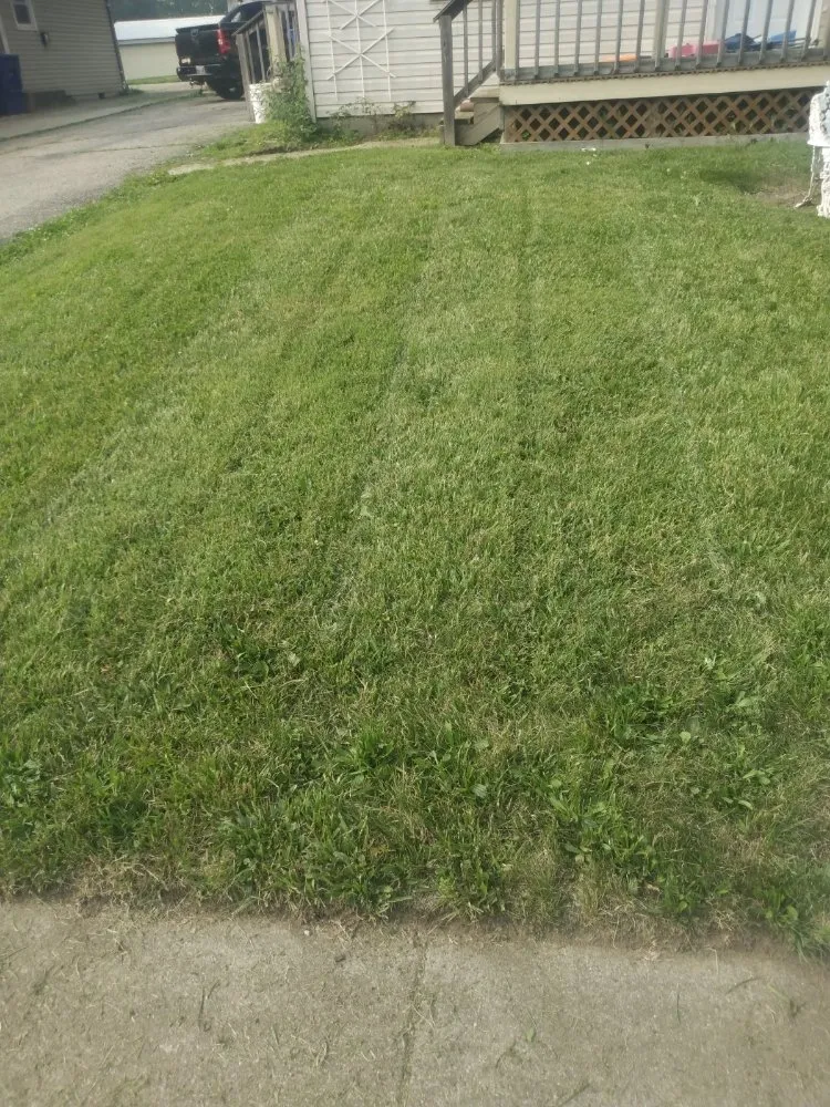 Expert lawn care service in Delaware, OH - Shawn's lawn Maintenance