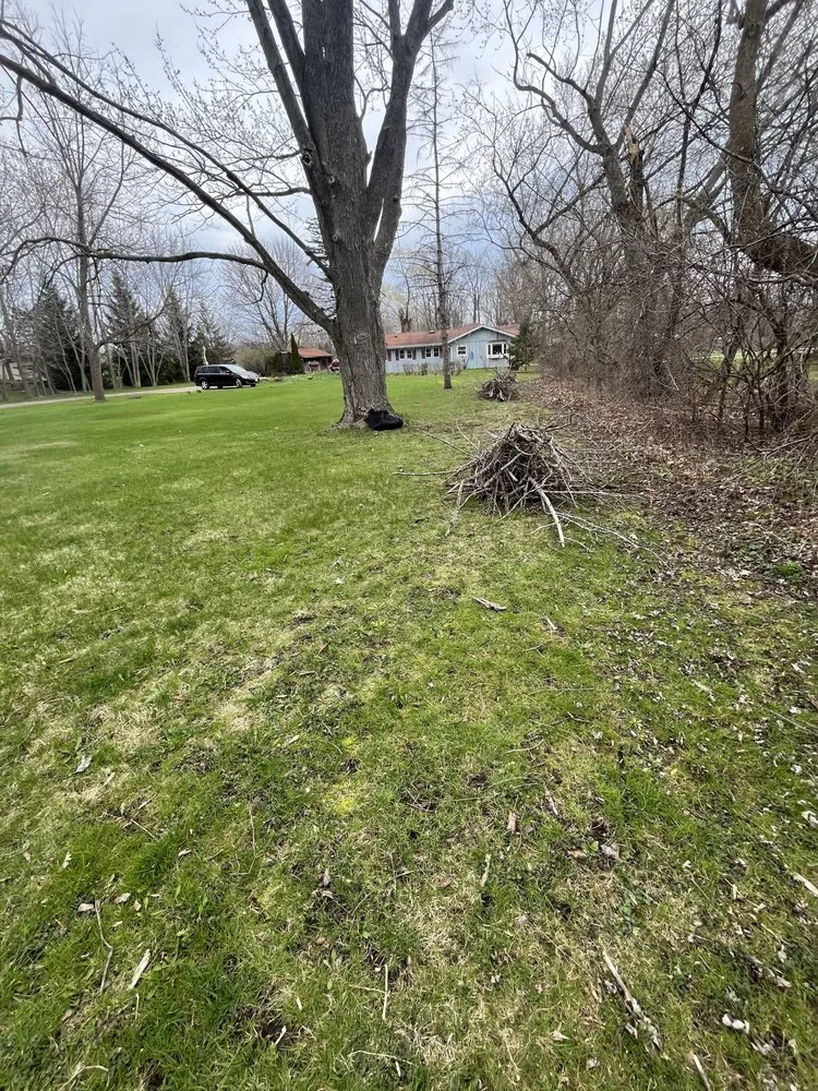 Custom yard maintenance in Kenosha, WI - Shawns lawncare