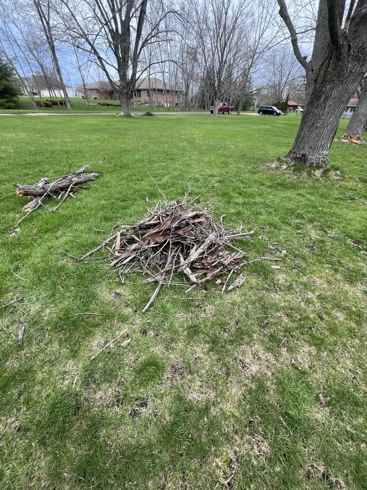 Expert lawn care service for outdoor upgrades across Kenosha, WI - Shawns lawncare