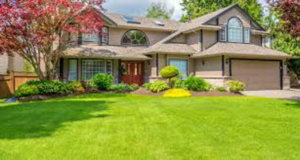 Top-rated yard cleanup service experts serving Everett, WA - Shawns Lawns