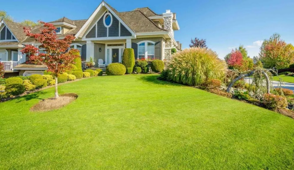Affordable lawn mowing service in Everett, WA by Shawns Lawns