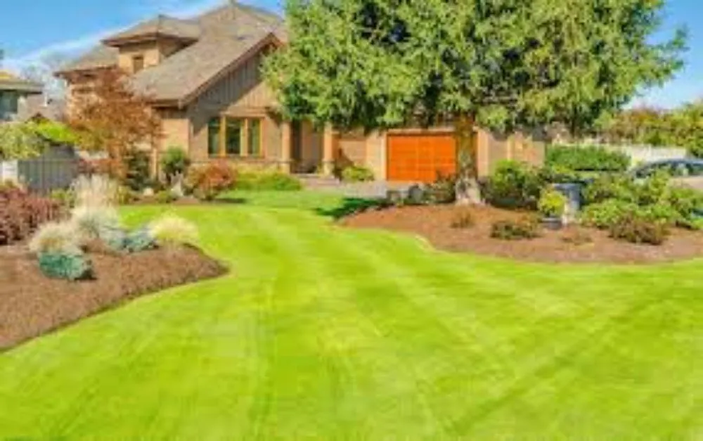 Local lawn care service experts serving Everett, WA - Shawns Lawns