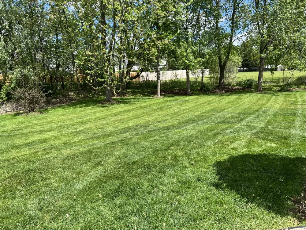 Reliable yard maintenance in Gurnee, IL by Shawn’s Lawns