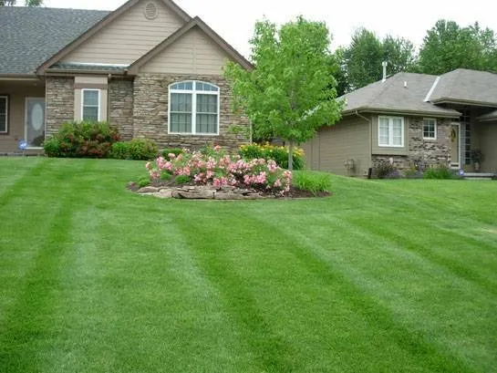 Expert lawn care service in Mesquite, TX - Shawn's Lawns