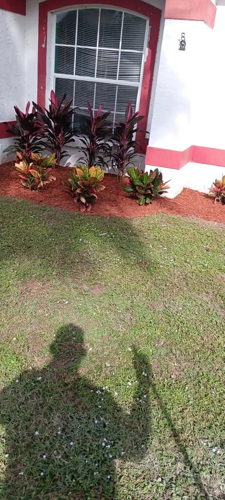 Trusted landscape design near you in North Port, FL by Shawn's Lawns