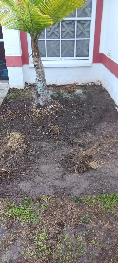 Local outdoor landscaping in North Port, FL - Shawn's Lawns