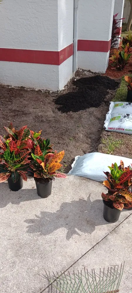 Affordable landscaping services in North Port, FL by Shawn's Lawns