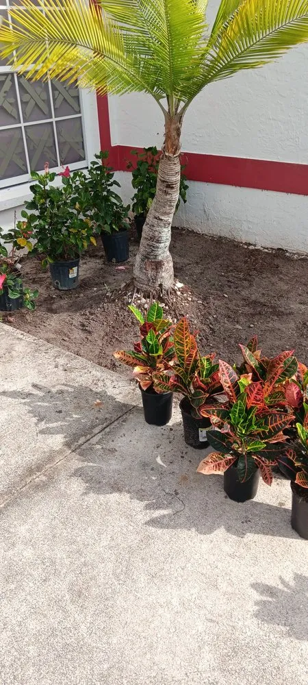 Local lawn care service in North Port, FL by Shawn's Lawns