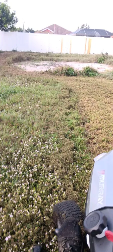 Affordable landscape installation in North Port, FL - Shawn's Lawns