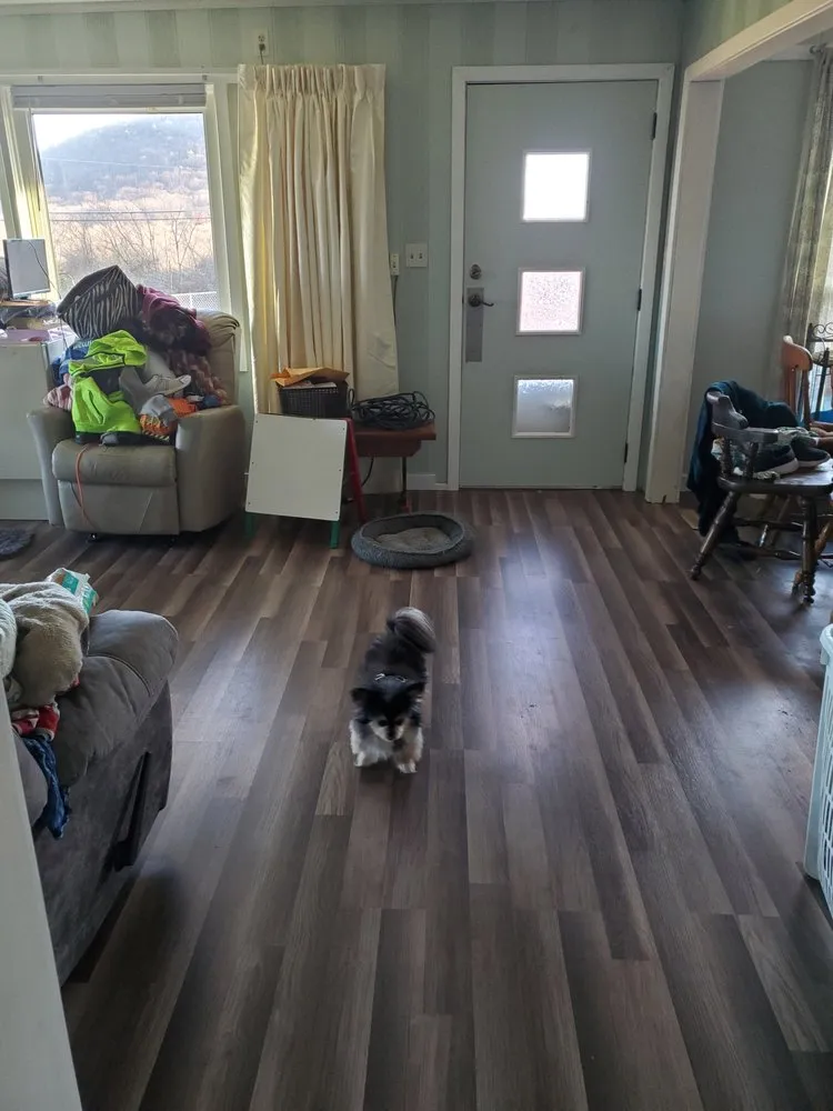 Local landscape design experts serving Minersville, PA - Shawn's L&P