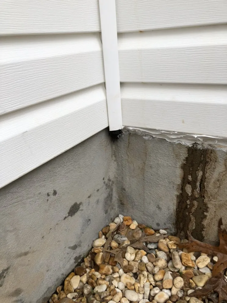 Affordable outdoor landscaping in Forsyth, GA by Shawn’s pest management