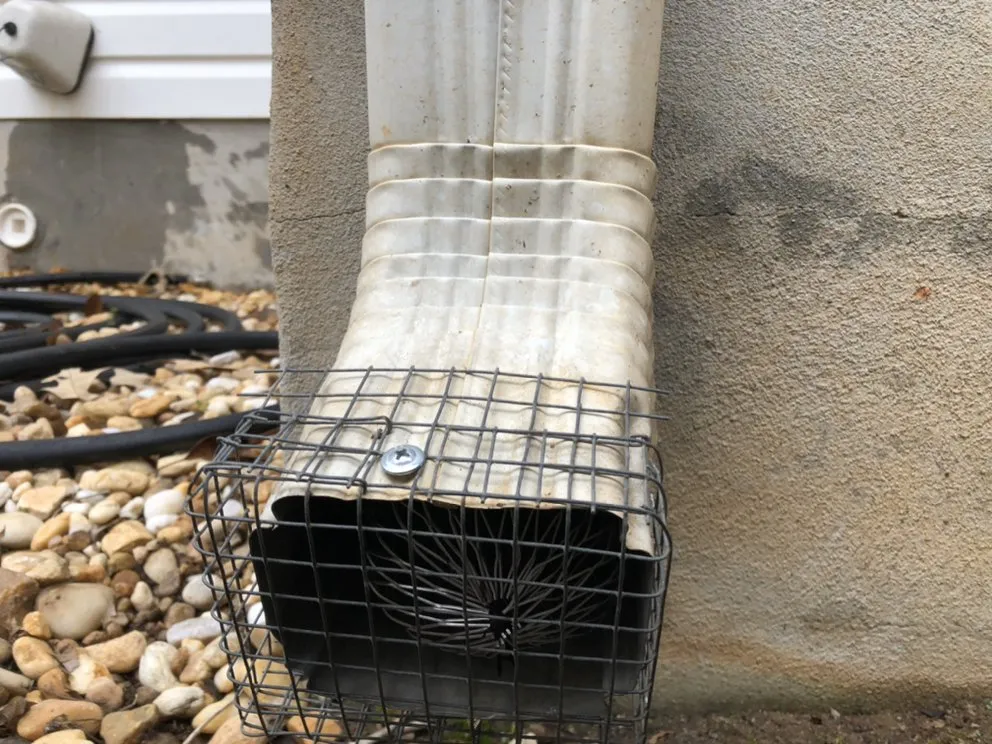 Reliable yard maintenance for year-round maintenance across Forsyth, GA - Shawn’s pest management