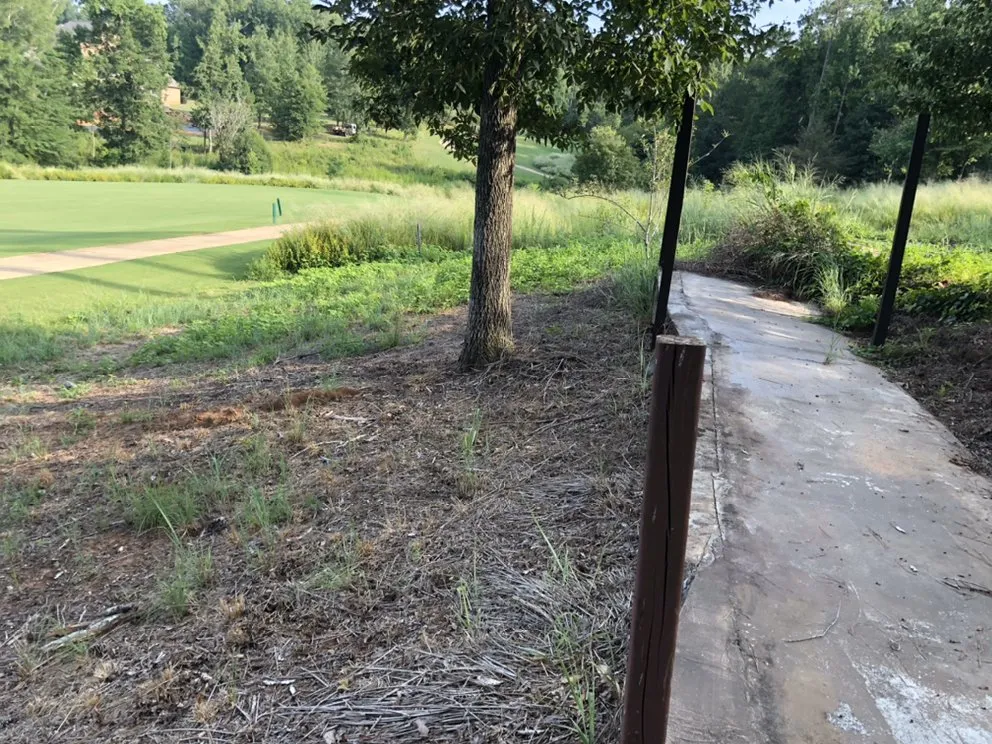 Expert lawn mowing service for outdoor upgrades across Forsyth, GA - Shawn’s pest management