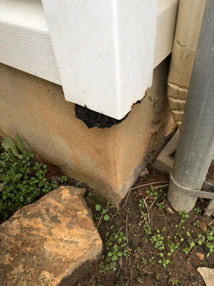 Custom outdoor landscaping for year-round maintenance across Forsyth, GA - Shawn’s pest management