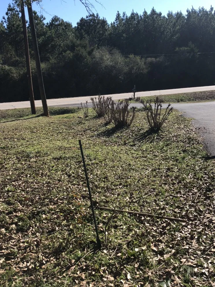 Expert landscaping services experts serving Forsyth, GA - Shawn’s pest management