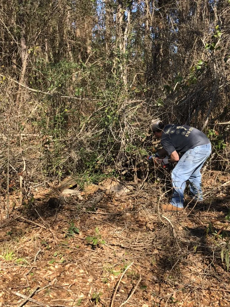 Reliable landscape design in Forsyth, GA by Shawn’s pest management