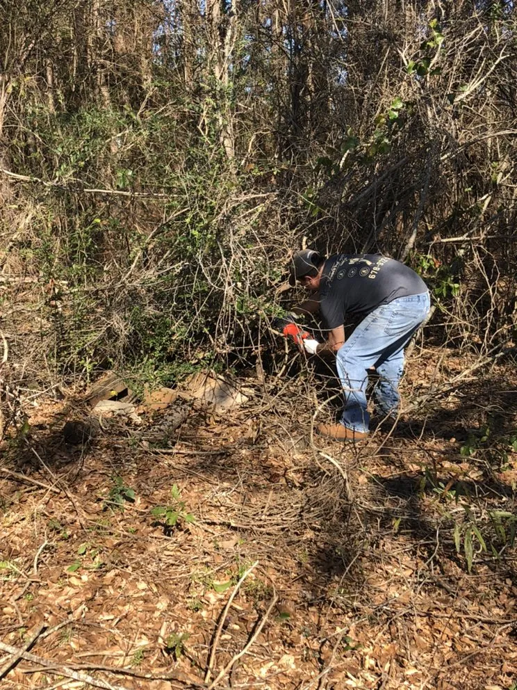Professional landscape installation near you across Forsyth, GA - Shawn’s pest management