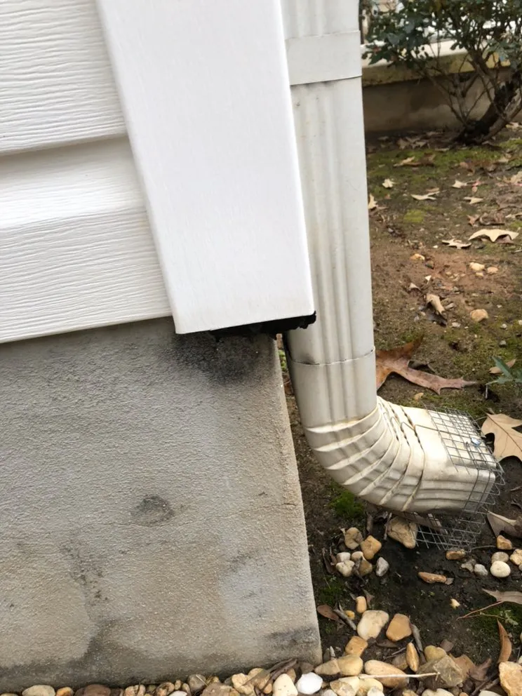 Expert residential landscaping for beautiful yards across Forsyth, GA - Shawn’s pest management