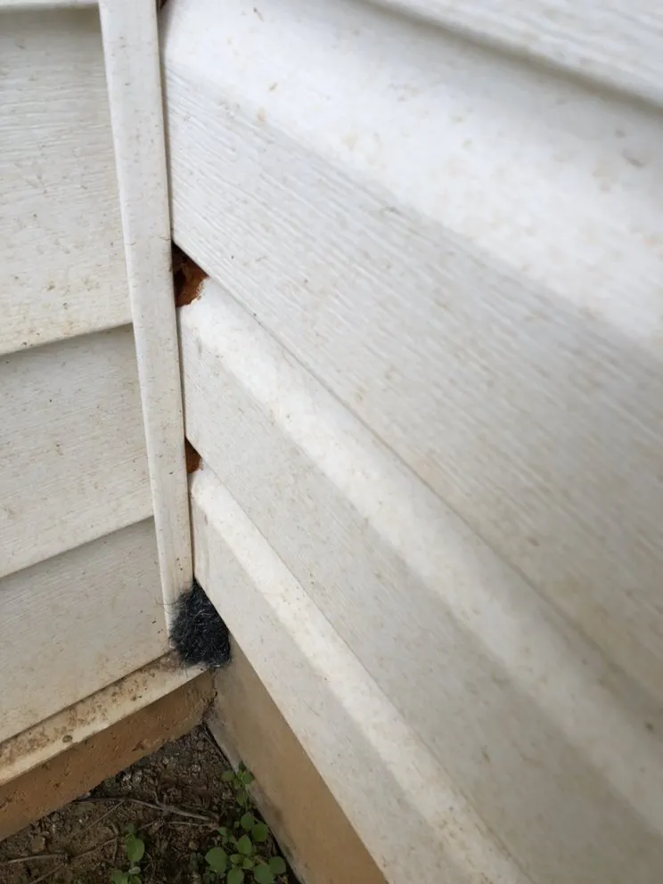 Local yard cleanup service in Forsyth, GA by Shawn’s pest management