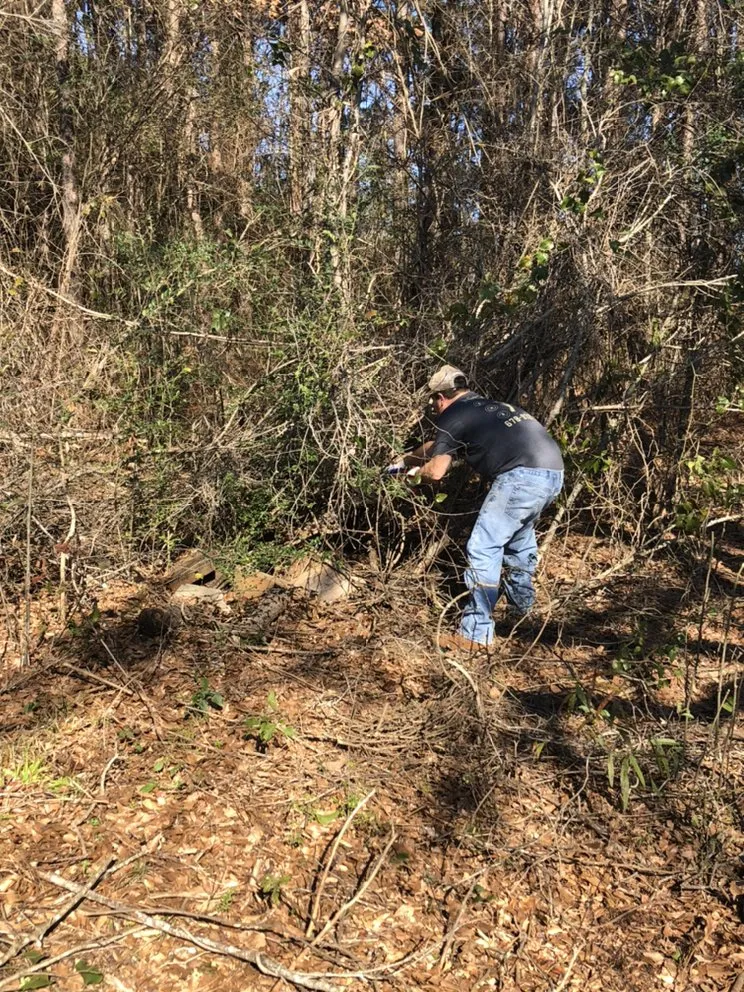 Professional residential landscaping in Forsyth, GA - Shawn’s pest management
