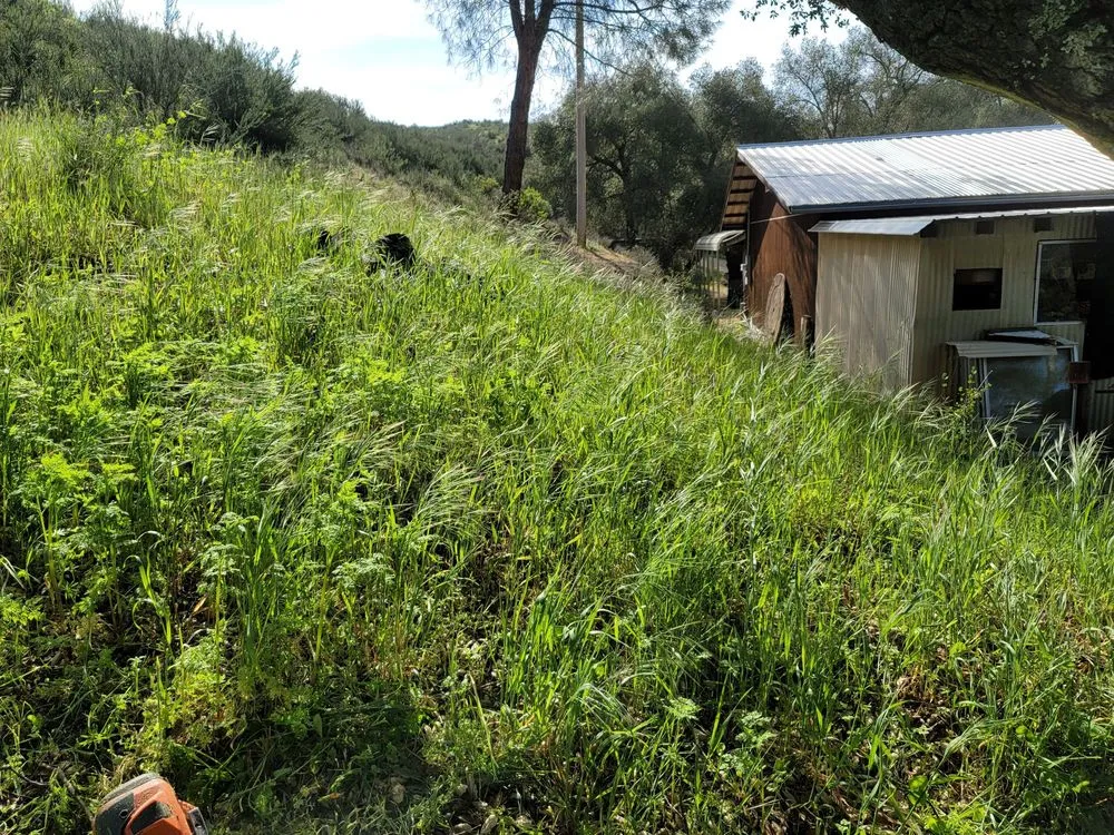Affordable lawn care service in Creston, CA by Shawn's Weed Abatement