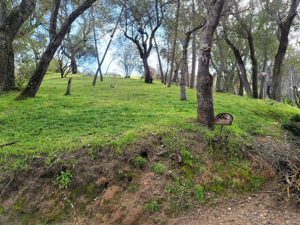 Custom landscaping services for year-round maintenance in Creston, CA by Shawn's Weed Abatement