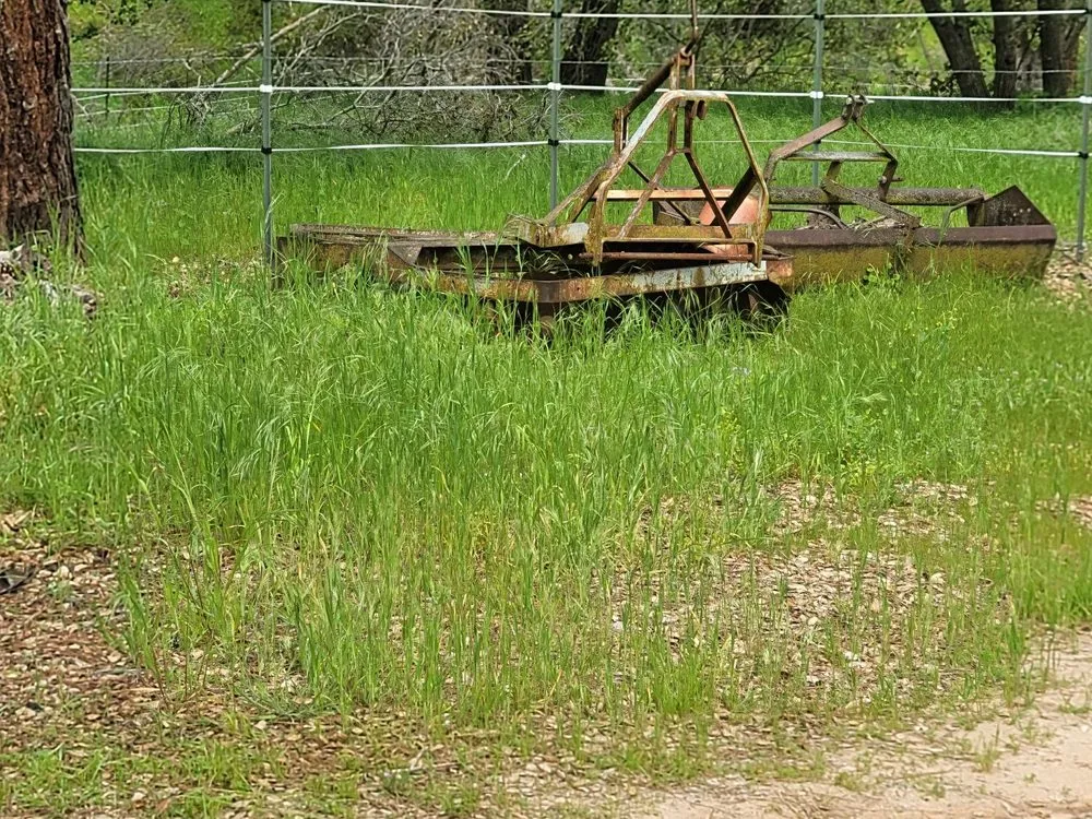 Top-rated yard cleanup service in Creston, CA by Shawn's Weed Abatement