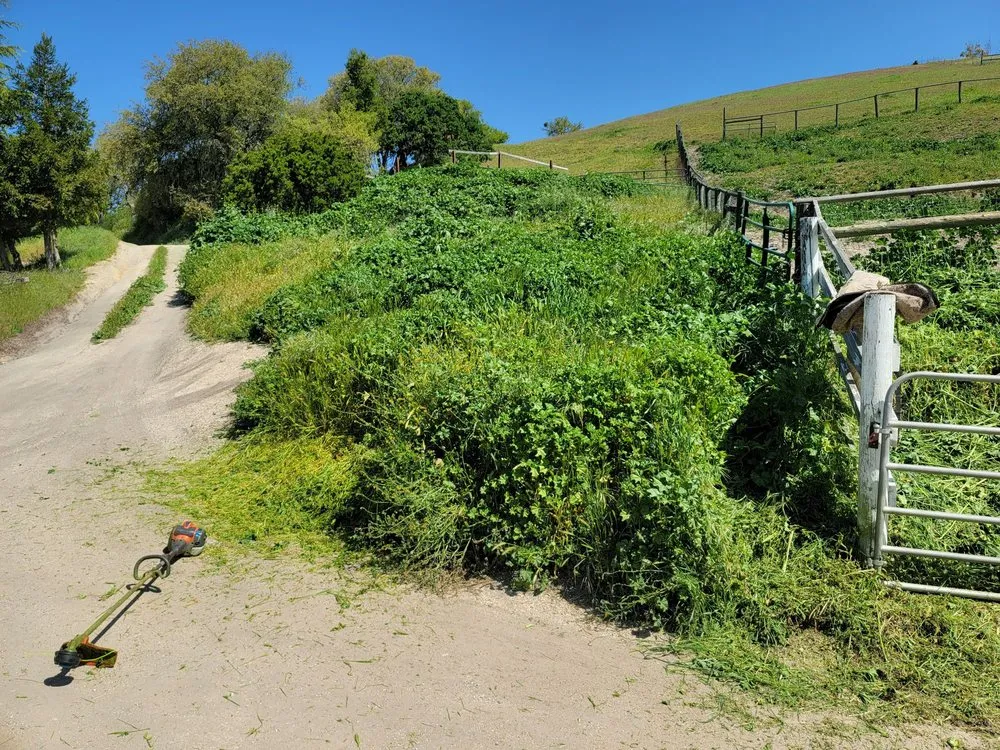 Local landscaping services for outdoor upgrades across Creston, CA - Shawn's Weed Abatement
