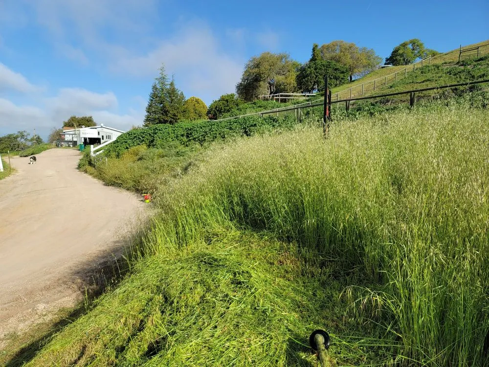 Trusted outdoor landscaping experts serving Creston, CA - Shawn's Weed Abatement
