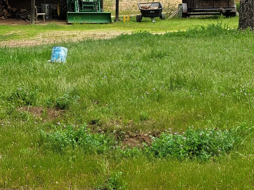 Trusted landscaping services in Creston, CA - Shawn's Weed Abatement
