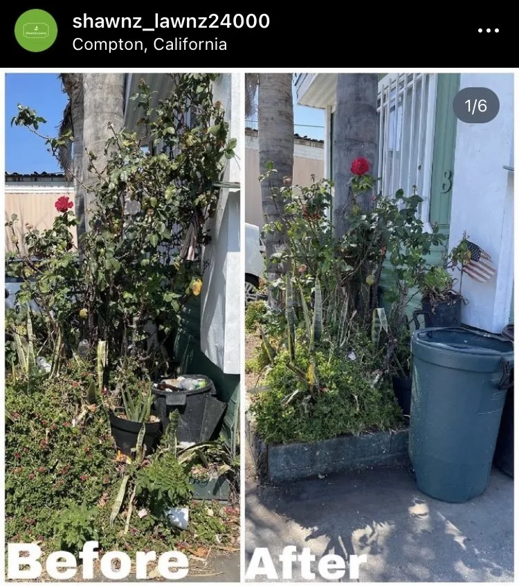 Top-rated residential landscaping in Compton, CA - Shawnz Lawnz 2.0