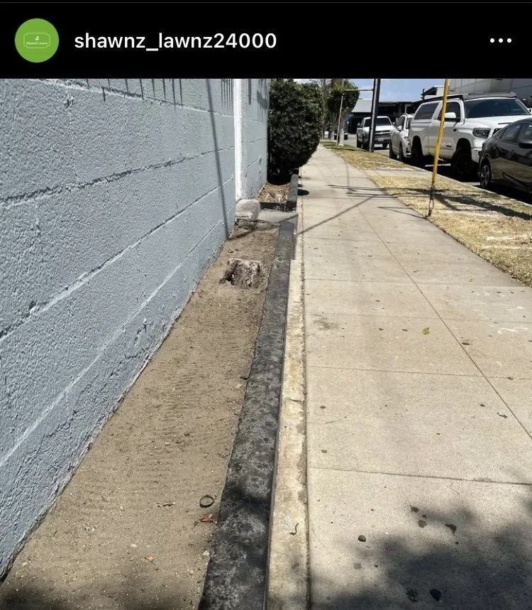 Custom landscaping services in Compton, CA by Shawnz Lawnz 2.0