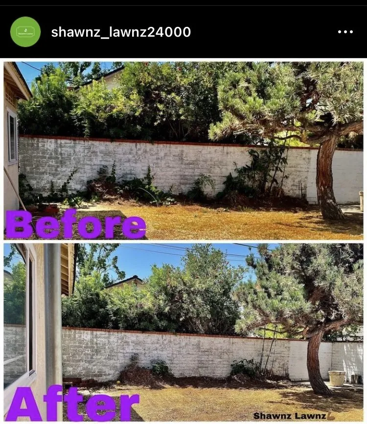 Local outdoor landscaping in Compton, CA - Shawnz Lawnz 2.0