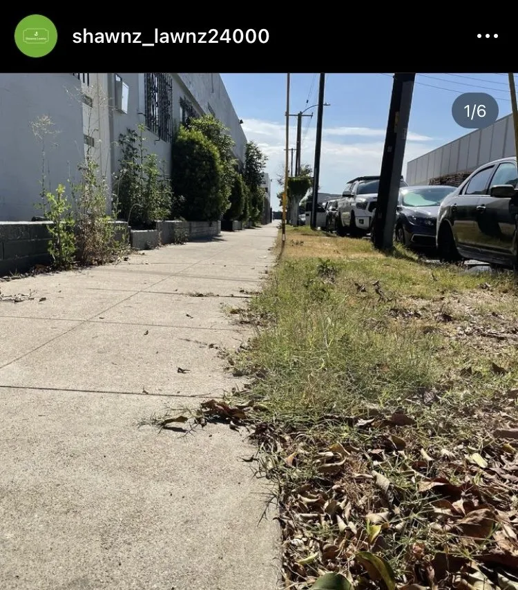 Reliable yard maintenance for beautiful yards across Compton, CA - Shawnz Lawnz 2.0
