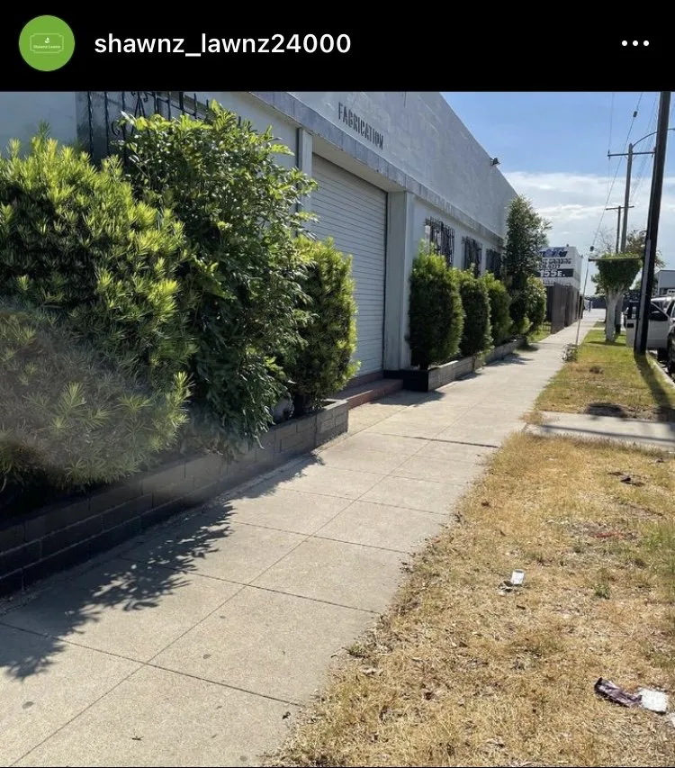 Trusted yard cleanup service for residential properties across Compton, CA - Shawnz Lawnz 2.0