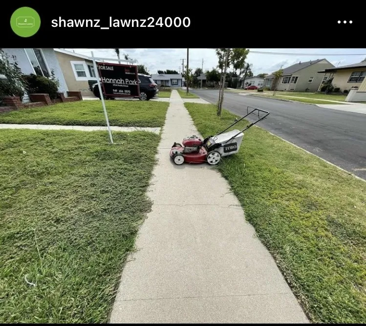 Professional outdoor landscaping for year-round maintenance in Compton, CA by Shawnz Lawnz 2.0