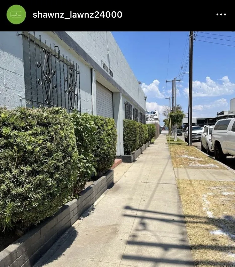Professional yard maintenance for beautiful yards across Compton, CA - Shawnz Lawnz 2.0