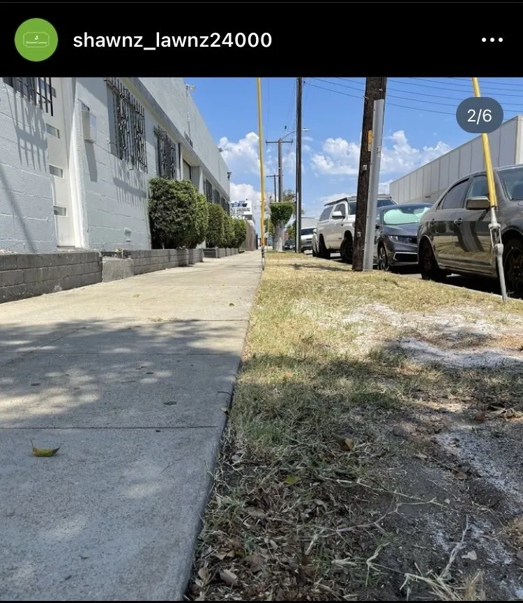 Expert outdoor landscaping with custom design in Compton, CA by Shawnz Lawnz 2.0