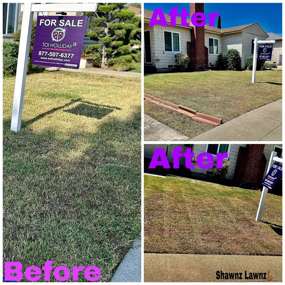 Custom lawn care service in Compton, CA by Shawnz Lawnz