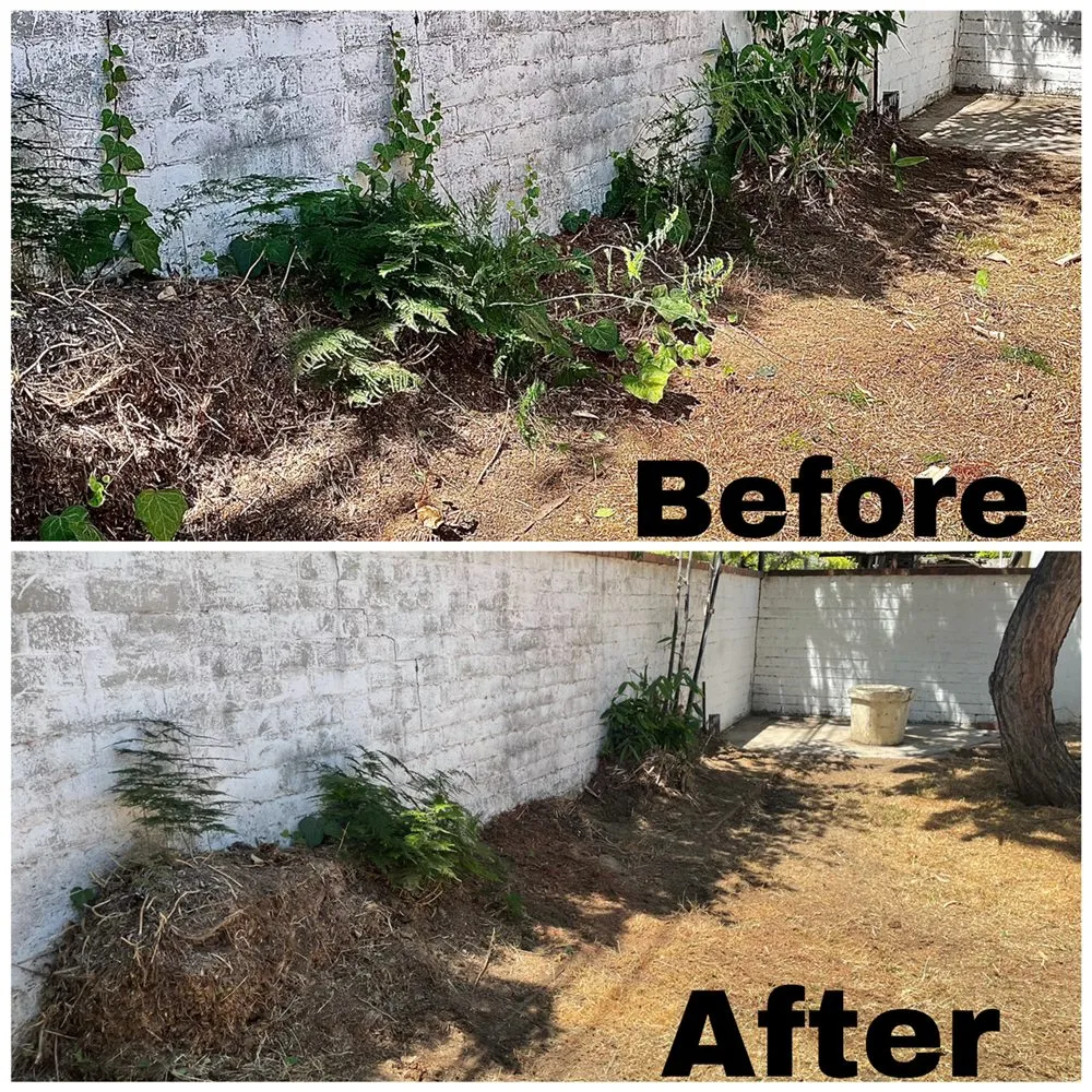 Top-rated landscape design in Compton, CA by Shawnz Lawnz