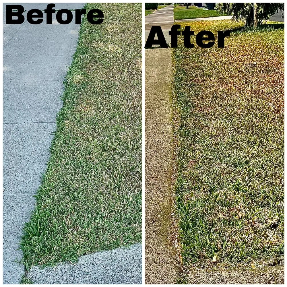 Reliable landscaping services in Compton, CA by Shawnz Lawnz