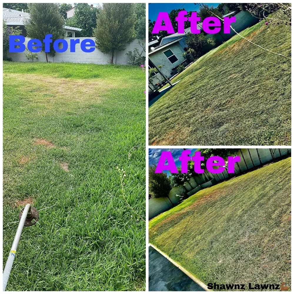 Local landscaping services for homes across Compton, CA - Shawnz Lawnz