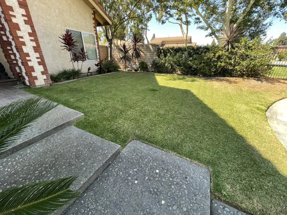 Custom landscaping services in Compton, CA by Shawnz Lawnz