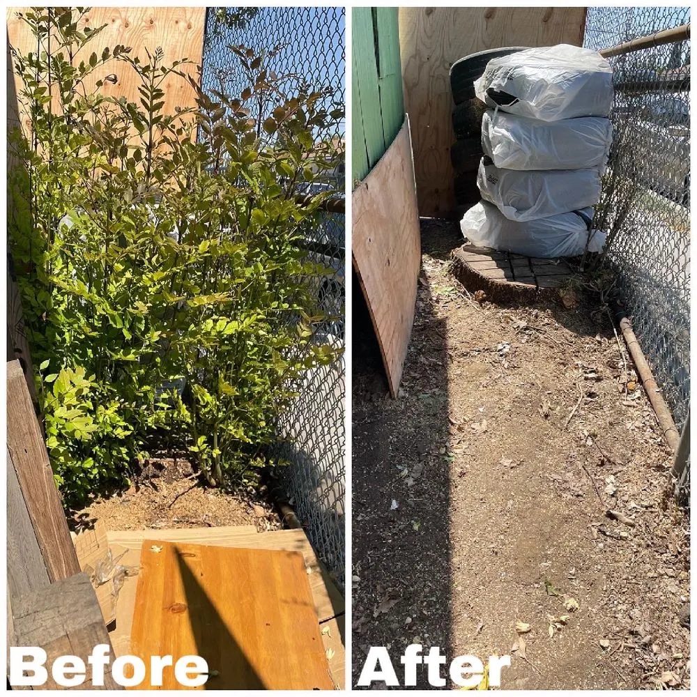 Top-rated lawn care service experts serving Compton, CA - Shawnz Lawnz