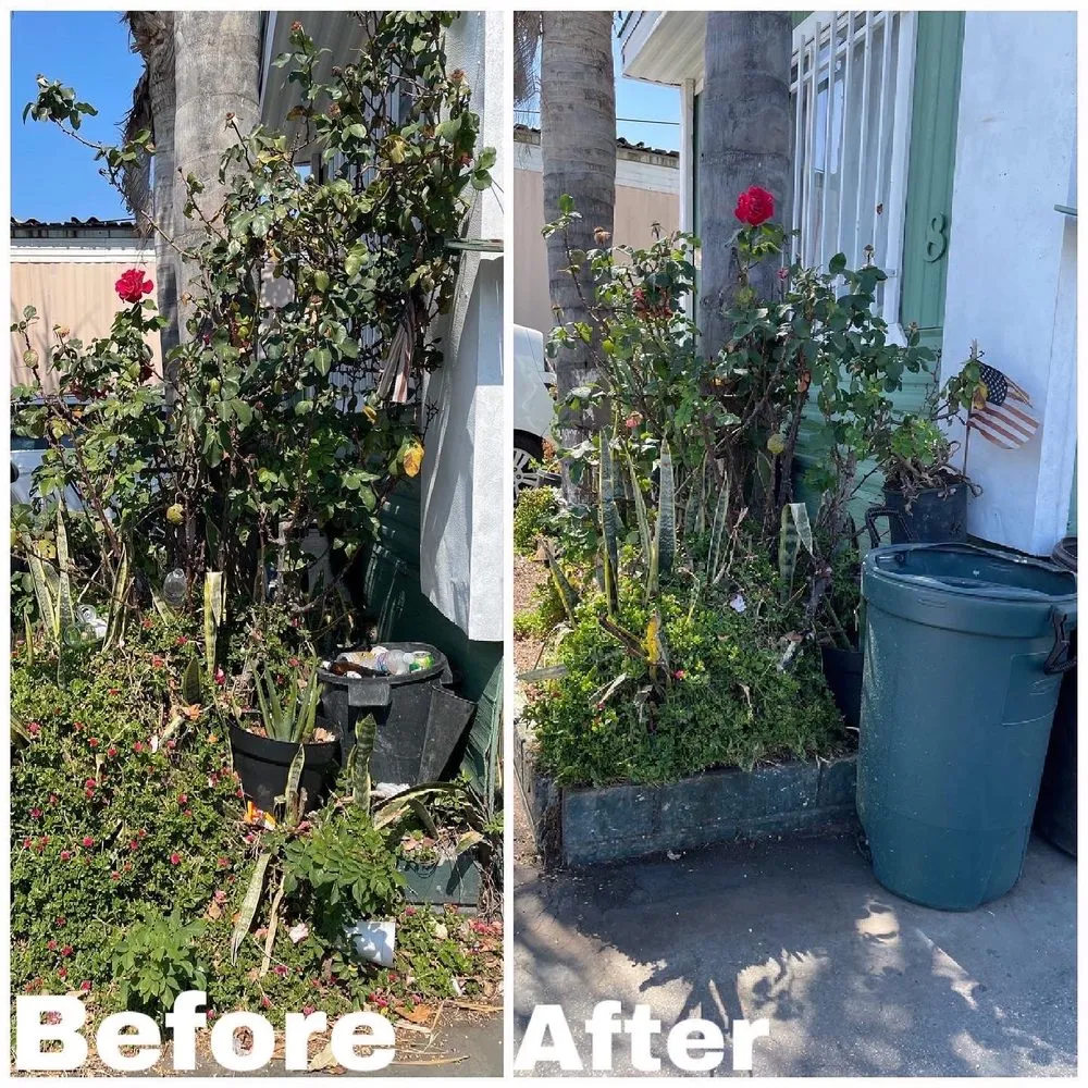 Local garden landscaping experts serving Compton, CA - Shawnz Lawnz