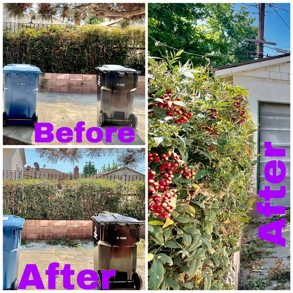 Local lawn care service for outdoor upgrades in Compton, CA by Shawnz Lawnz