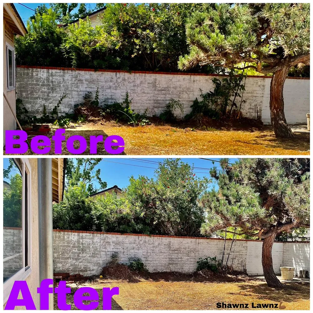 Affordable yard maintenance in Compton, CA by Shawnz Lawnz