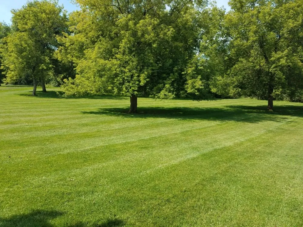 Local residential landscaping experts serving Cedar Falls, IA - ShaWorks