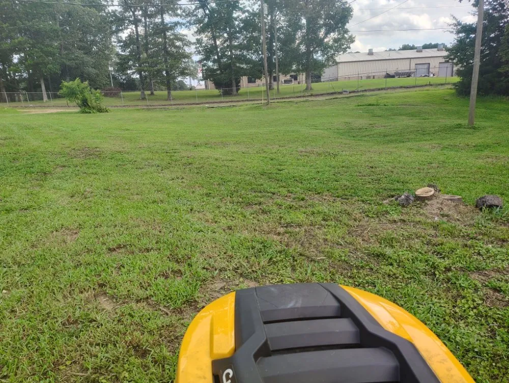 Professional landscape design in Quinton, AL by Shaw's Lawn Service and Handyman Services
